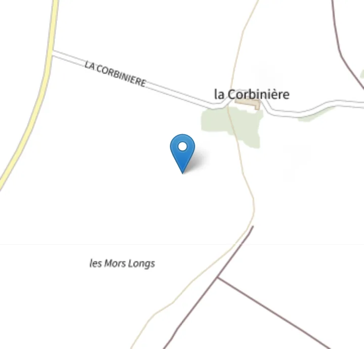 Plan IGN d'une parcelle du domaine, située au cadastre au lieu-dit la Corbinière